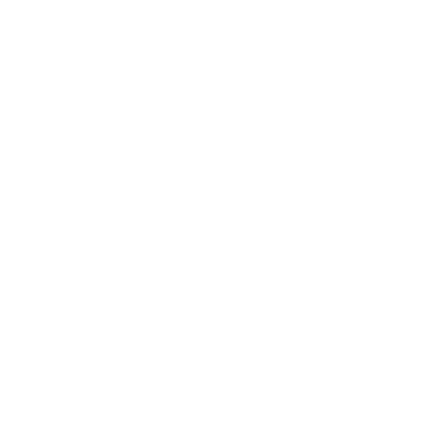 Collective Intelligence Project Logo